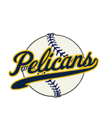 Load image into Gallery viewer, Pelicans Personalized Car Decal
