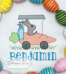 Bunny Boy in Carrot Cart Shirt