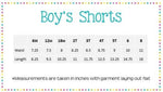 Load image into Gallery viewer, Boy&#39;s Seersucker Swim Shorts
